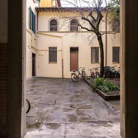 Antonino By Halldis Florencja
